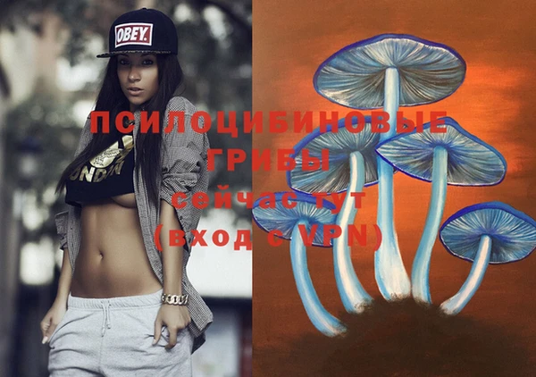 амфетамин Алексин