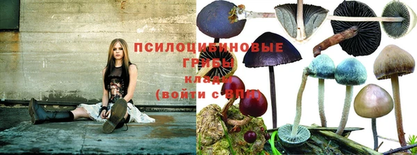 кокаин перу Алзамай