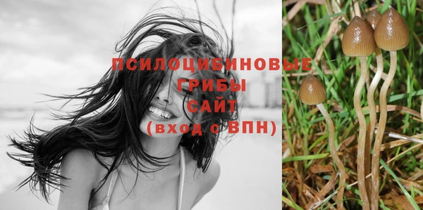 герыч Алексеевка