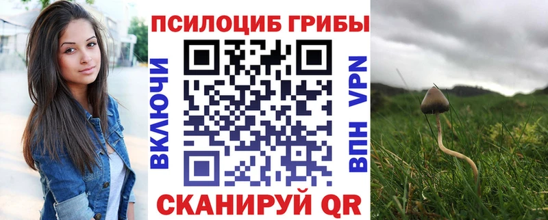 Псилоцибиновые грибы Psilocybe  Лаишево 